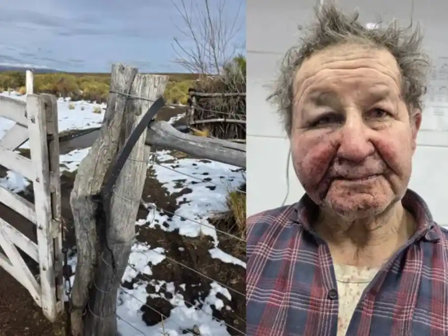 El hecho ocurrió en la madrugada del pasado domingo en el puesto rural ubicado en Paso Batea (Foto: Gentilezas)