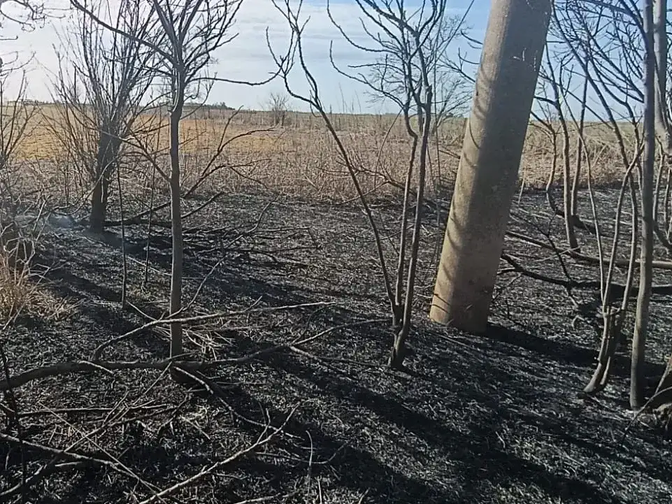 incendio 7S