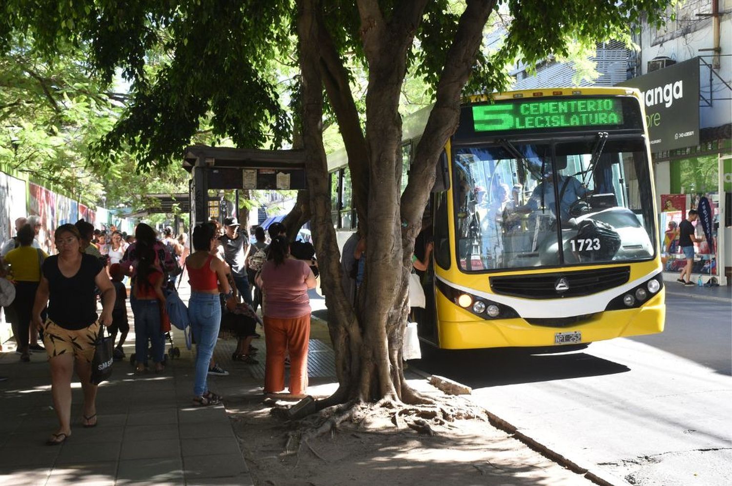 8M: el boleto del colectivo será gratuito para las mujeres en Santa Fe