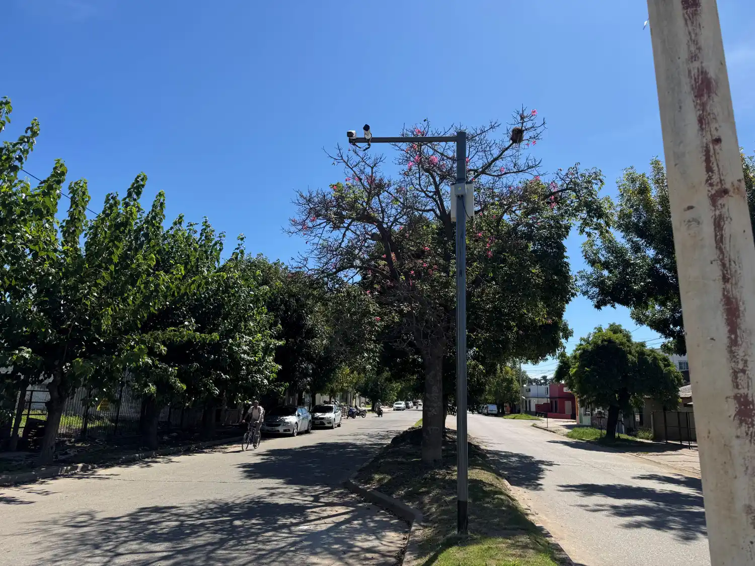 Cecaitra comenzó a instalar las cámaras en San Pedro a mediados de marzo.