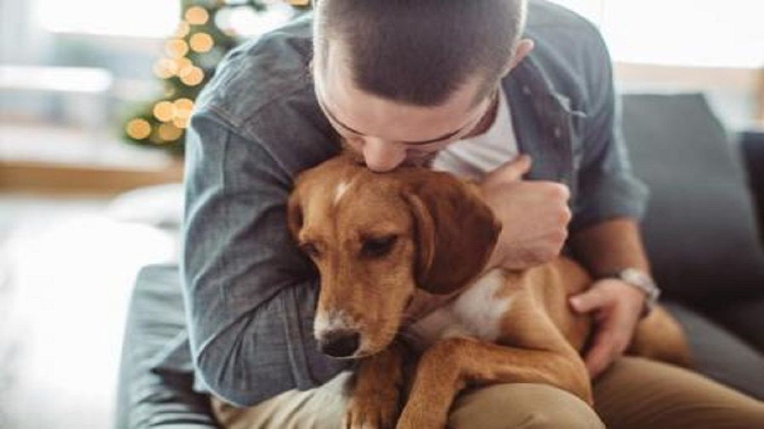 ¿Qué es la biofilia y por qué muchas personas sienten amor incondicional por su perro?