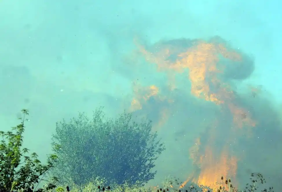 Un nuevo incendio forestal afectó varias hectáreas