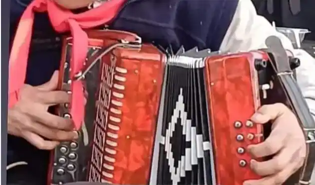 Instrumento musical. Sustraído en las últimas horas del interior de un vehículo