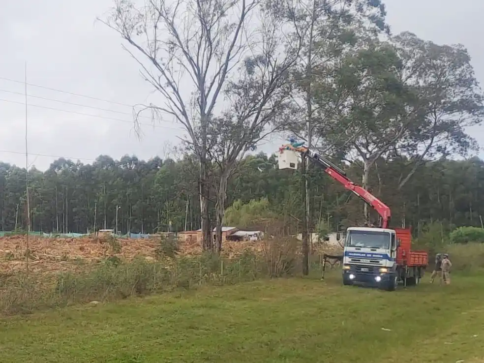 Por la tala de un árbol, Calabacilla y parte de Puerto Yeruá estuvieron sin energía eléctrica