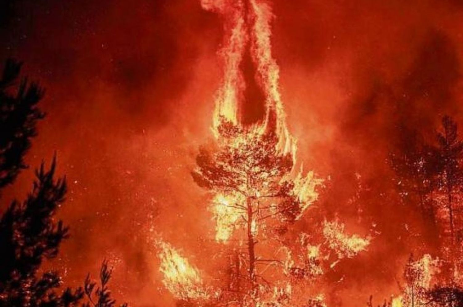 Arde sin control el pulmón verde de Atenas