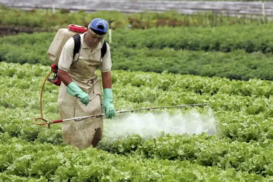 Nueva charla sobre fumigaciones y agroecología en Rafaela