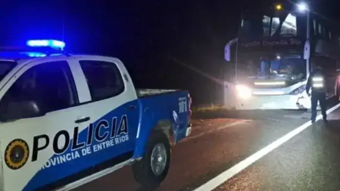 Chofer resultó hospitalizado tras chocar un animal suelto en Autovía 14