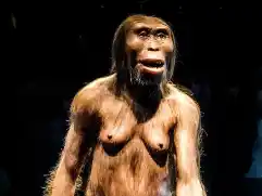 Un pie fósil de 3,4 millones de años resulta ser de un contemporáneo de Lucy