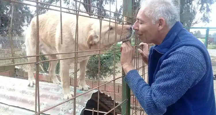 Convenio, descontento  y cansancio en la Oficina Animal