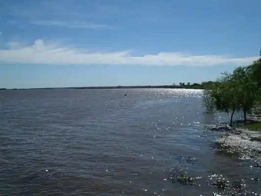Un estudio uruguayo detectó bacterias nocivas en aguas del río Uruguay
