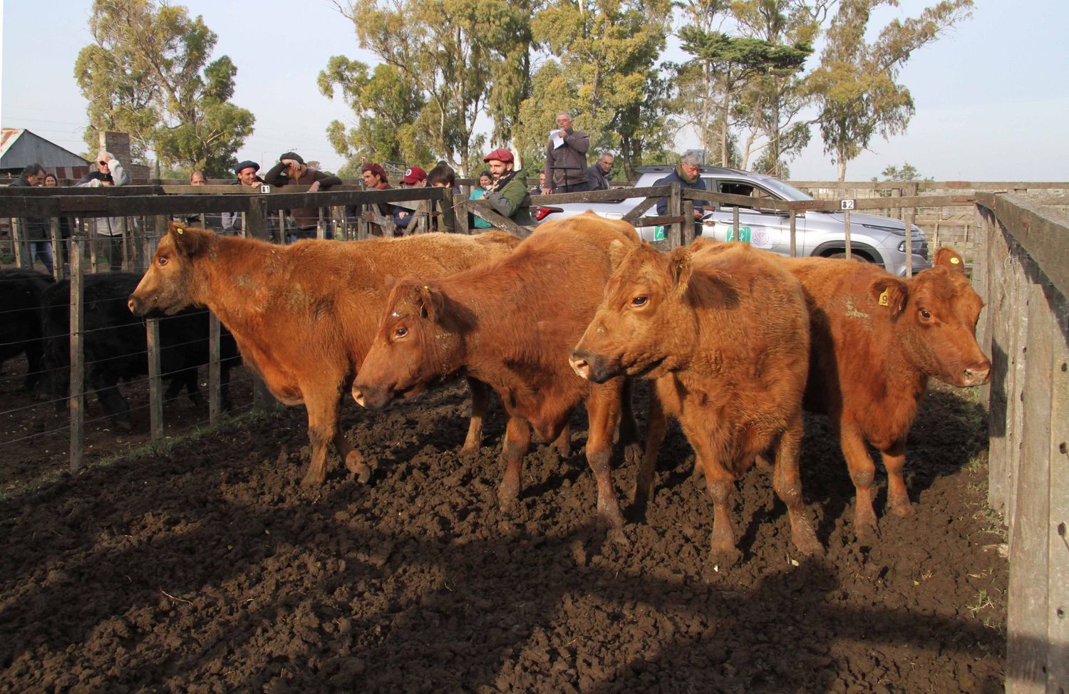 Otro viernes de buenas ventas en la feria