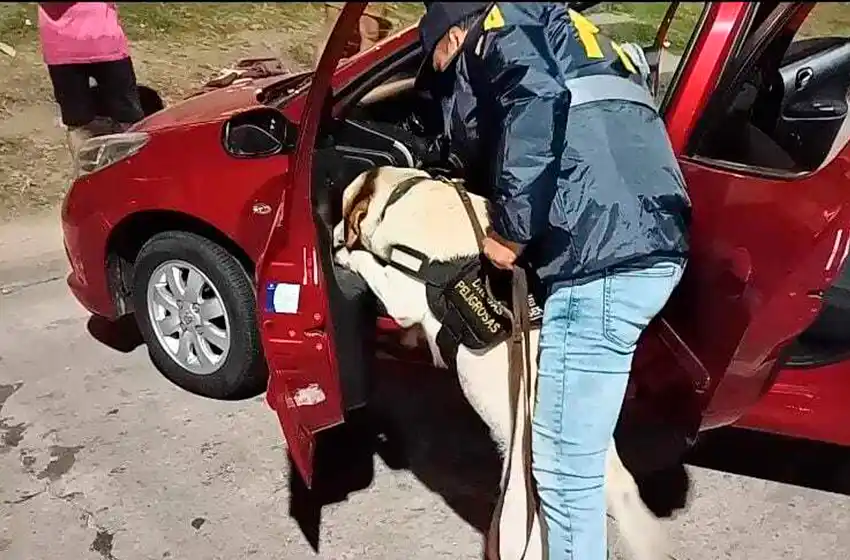 Operativo de la policía Federal detectó estupefacientes en la zona sur de Mar del Plata