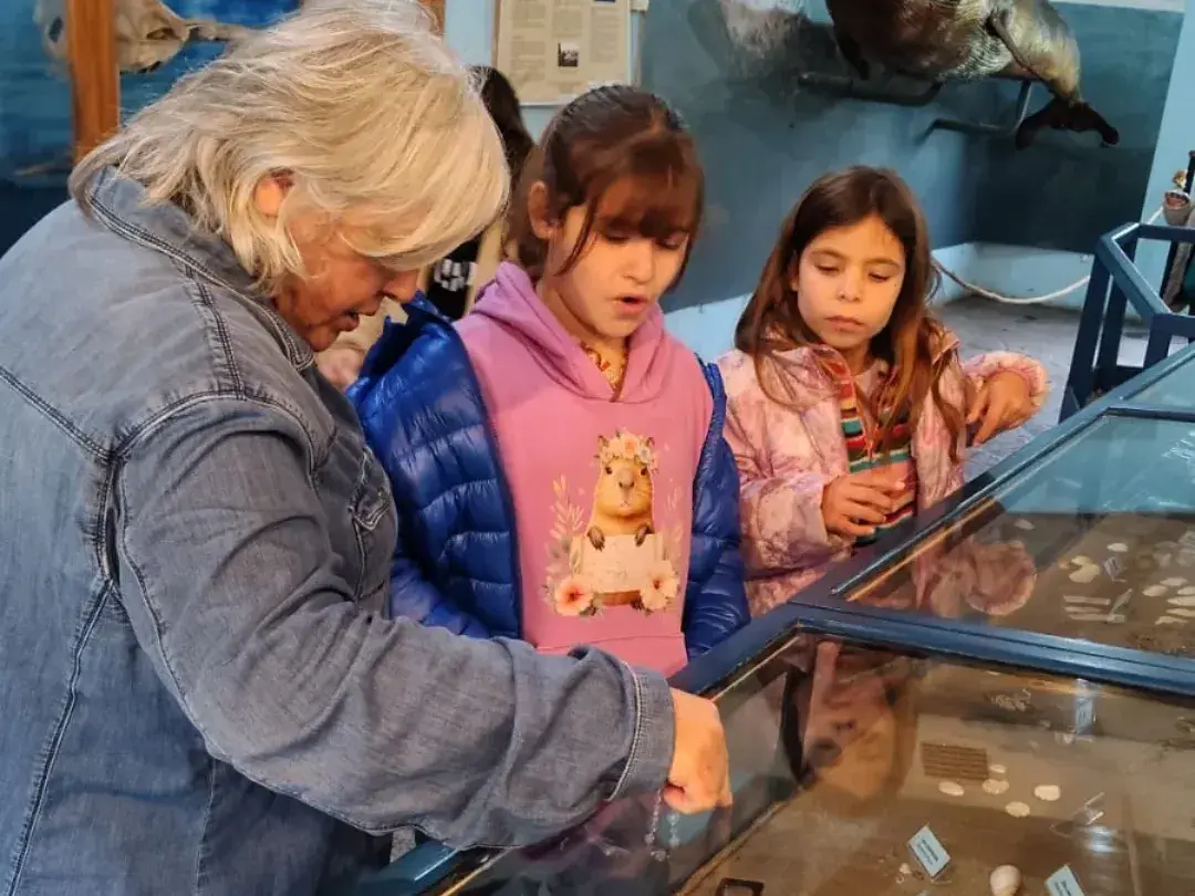 Visitas al museo