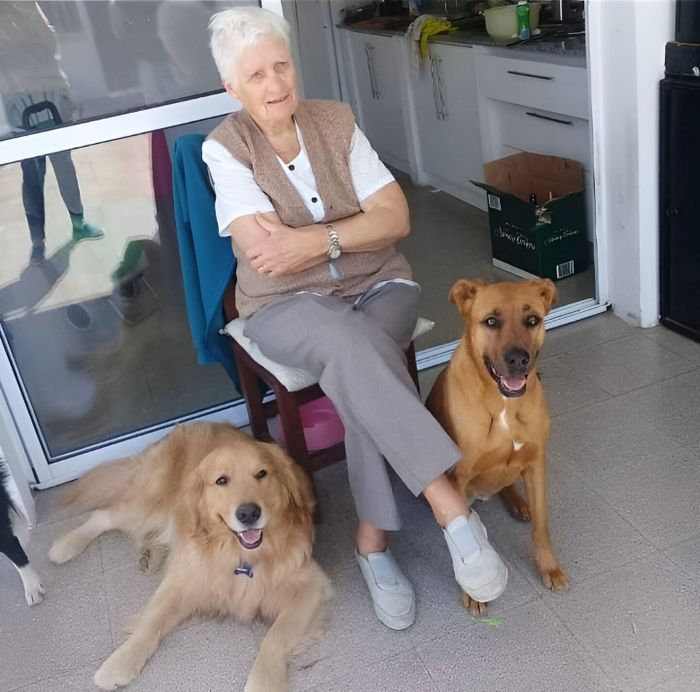 juana brodl perritos