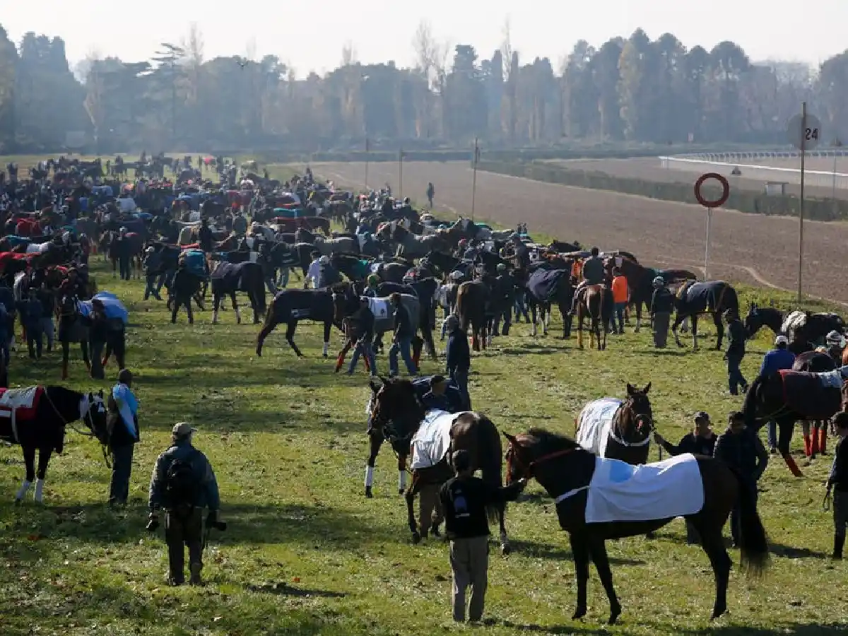 Un proyecto de ley que puede dejar "dos mil personas sin trabajo" 