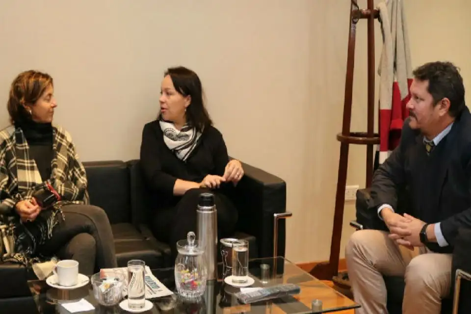 Frigerio eligió a Fregonese como la candidata del PRO