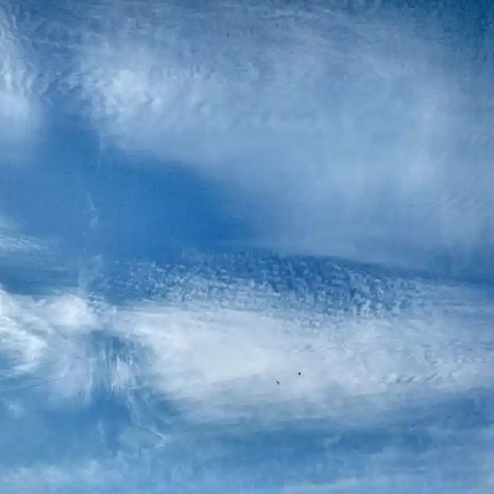 Cuáles son los dos próximos feriados de junio y qué se conmemora