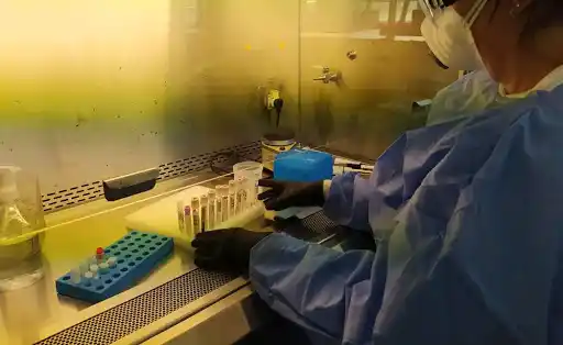 Coronavirus: Lanús, uno de los distritos con mayor cantidad de nuevos casos del día jueves