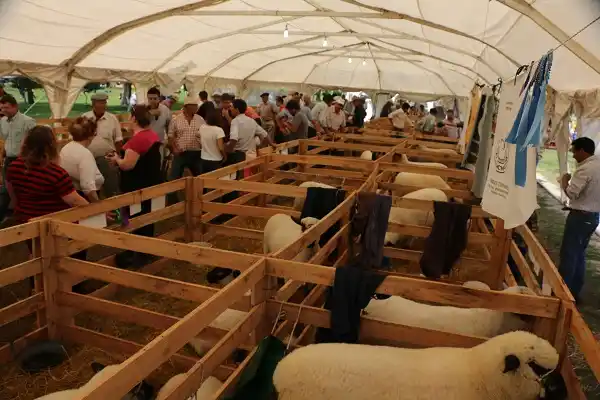 En Urdinarrain se desarrolló la segunda edición de la Expo Ovina