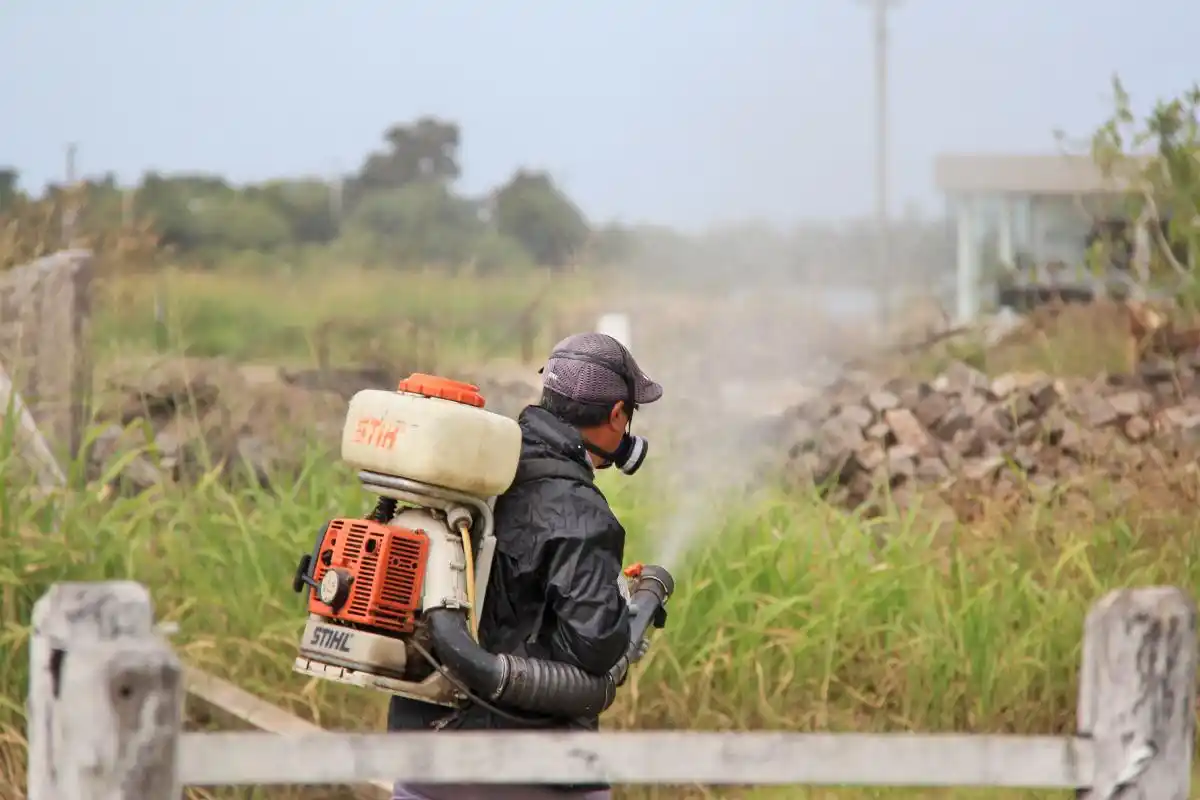 Continúan las fumigaciones esta semana en la ciudad