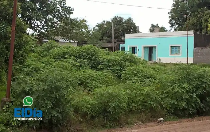 La falta de mantenimiento de terrenos, un clásico de la ciudad 