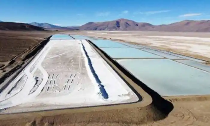 La Argentina está en el pelotón de los que más producen y la extranjerización llega a más provincias