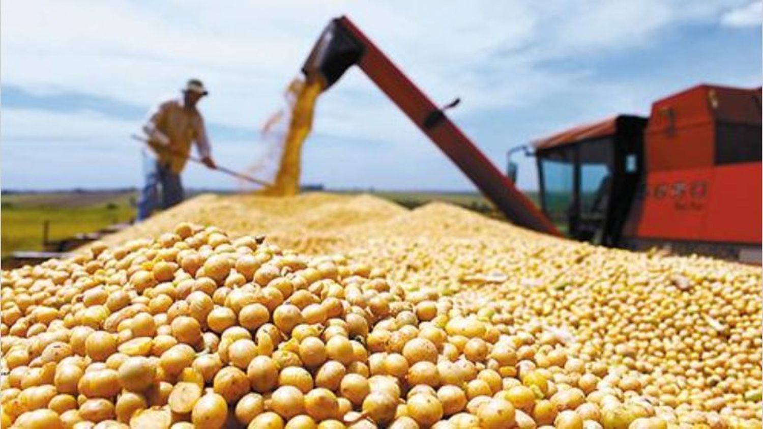 El gobierno nacional aumentó las retenciones al agro por decreto