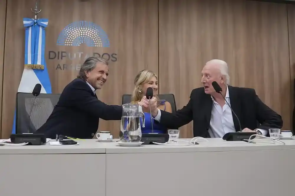 El presidente de la comisón de Presupuesto, Alberto Benegas Lynch y el diputado libertario Julio Moreno Valle, durante el debate de hoy.