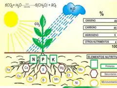 Fertilizar todo un tema, Es un panorama complejo