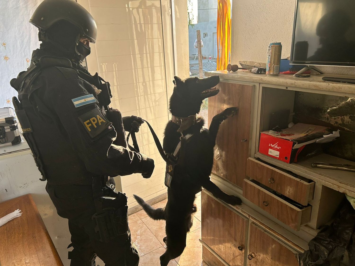 detenidos en el arañado