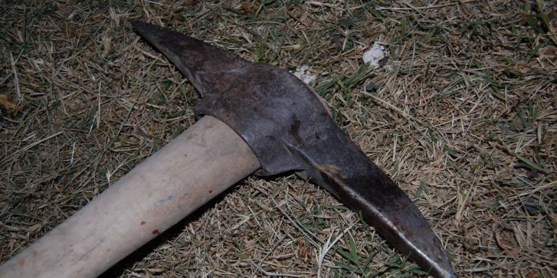 EN LA GUAIRA: abuela es asesinada con un pico por su nieto