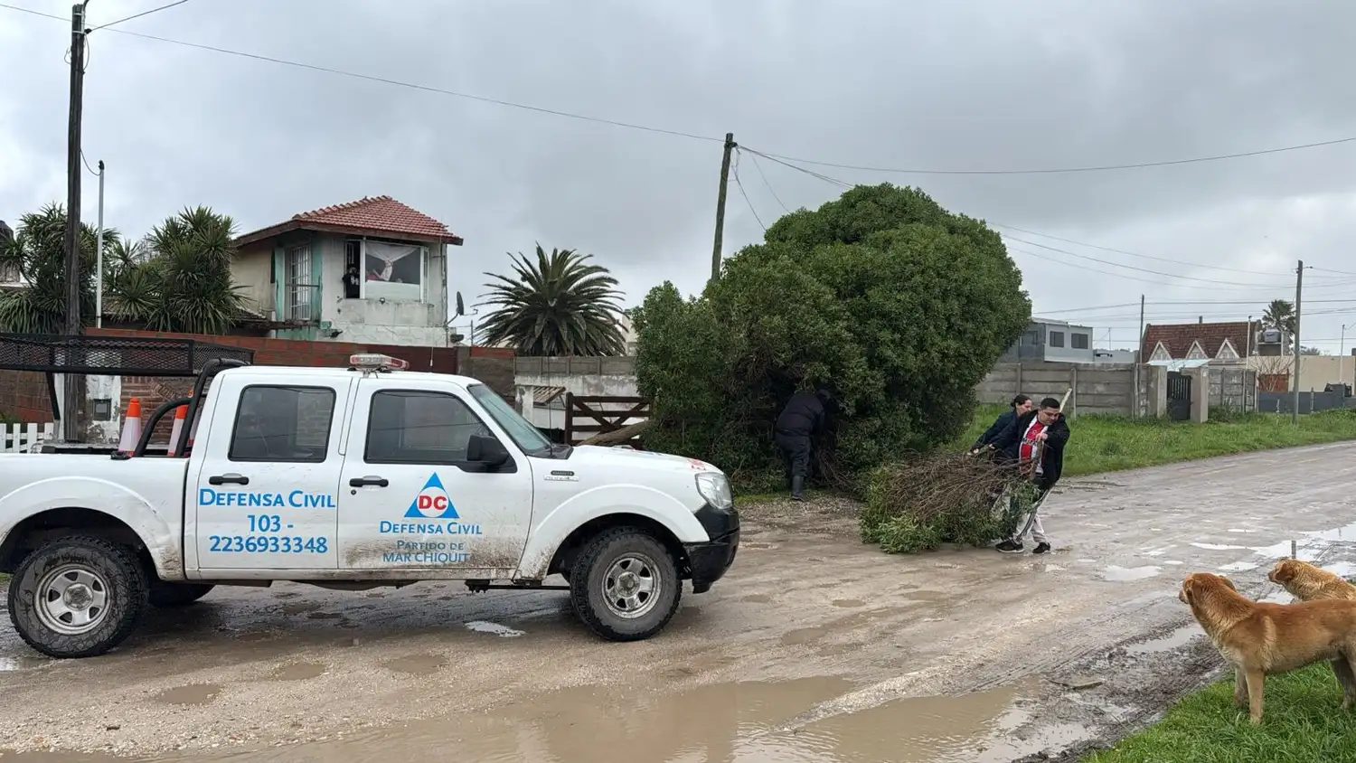 Aseguraron que se encuentran trabajando "a toda hora" para resolver los problemas generados por la lluvia y el viento”.