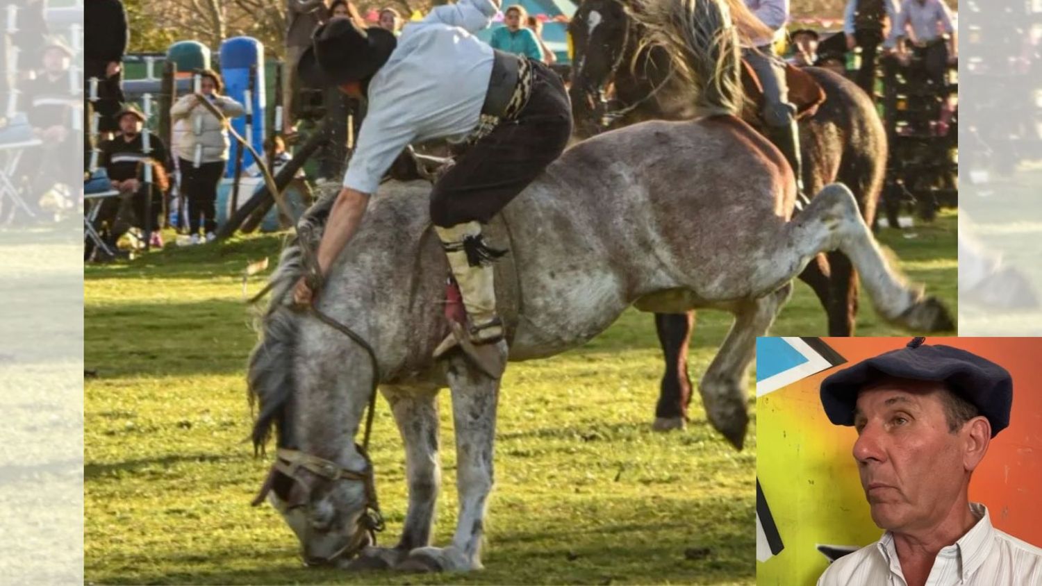 La fiesta de El Fortín: se viene “El Coronel”, el caballo atracción de las jineteadas que será clonado