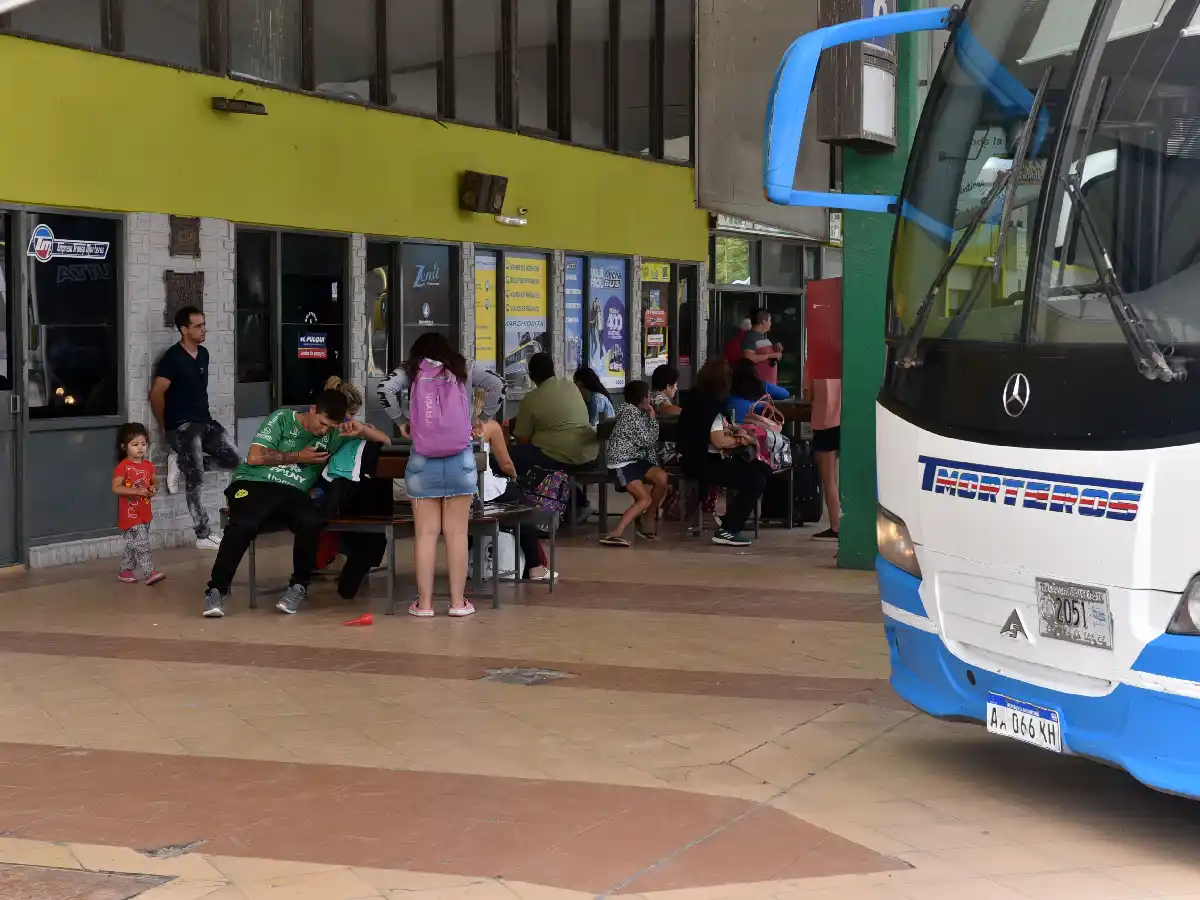 Fiestas de fin de año y vacaciones: muchos aprovecharon los micros “low cost”