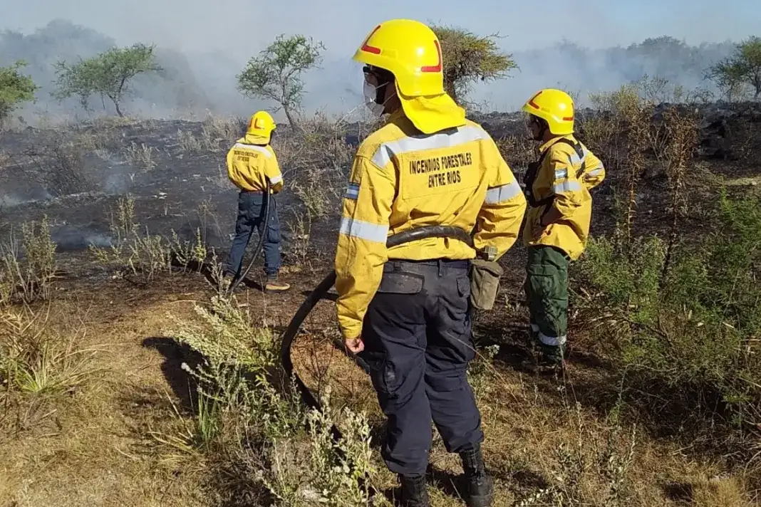 Reporte oficial por los incendios en Argentina: Son cuatro las provincias con fuego