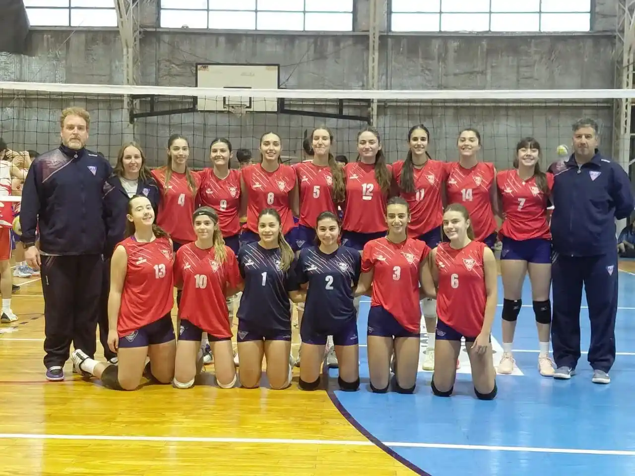voley