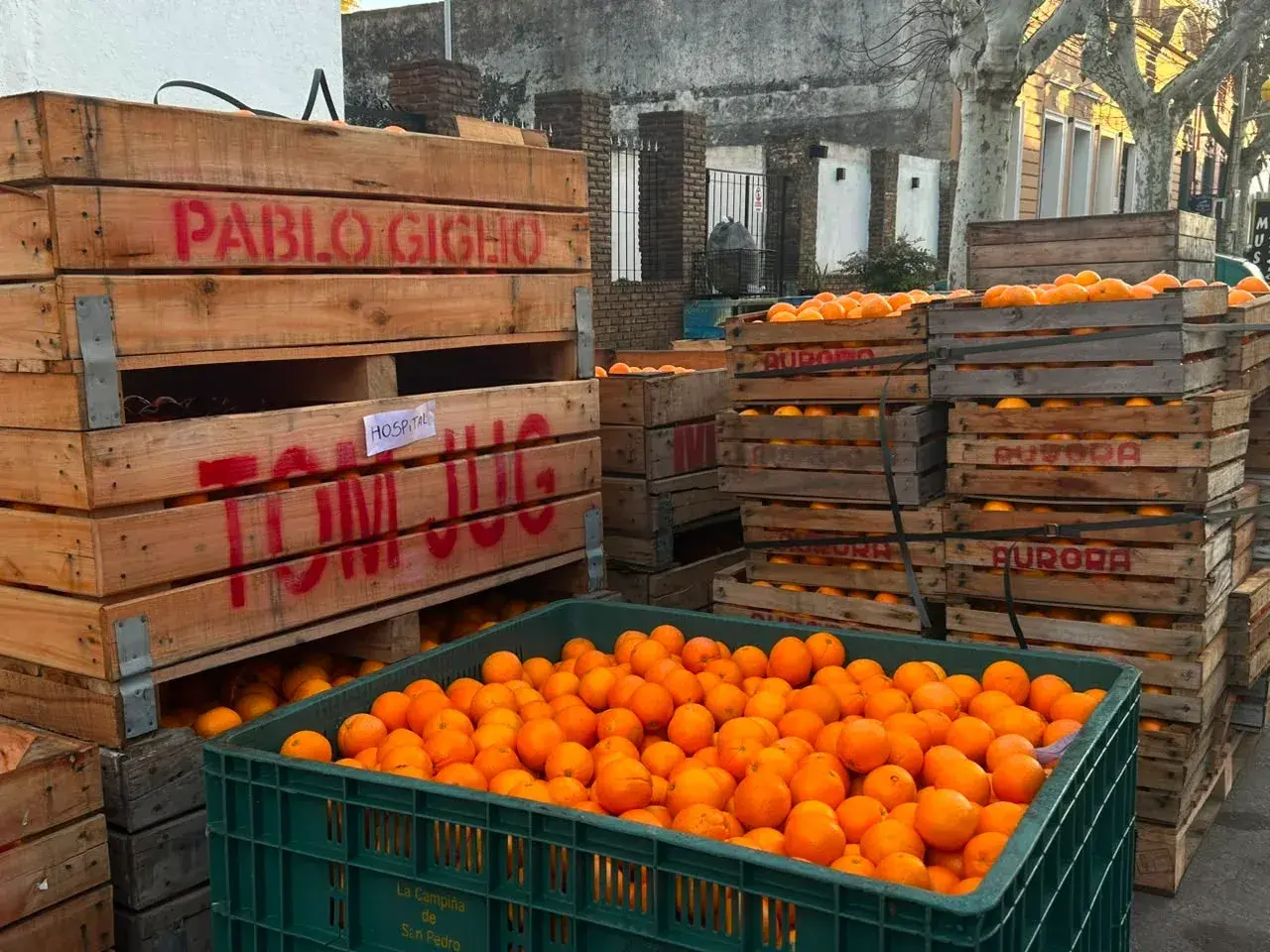 Fiesta de la Naranja: primera jornada con stands y shows en vivo