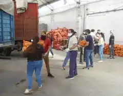 Desde el inicio de la cuarentena entregaron más de 47 mil módulos alimentarios