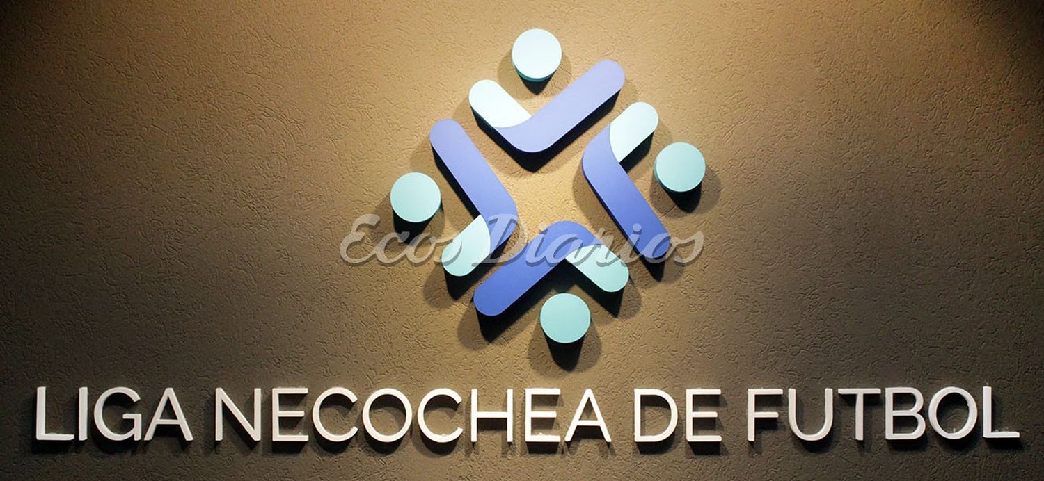 Se conocieron las sanciones del Tribunal de Penas con cuatro suspensiones provisorias y muchos expulsados.