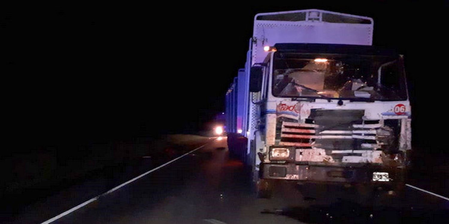 A dos kilómetros de Urdinarran: Un camión chocó dos caballos en la Ruta 20