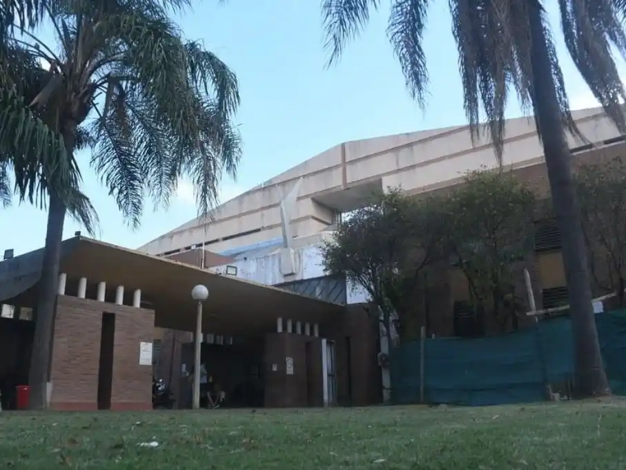 nene mordido por perro grande 2