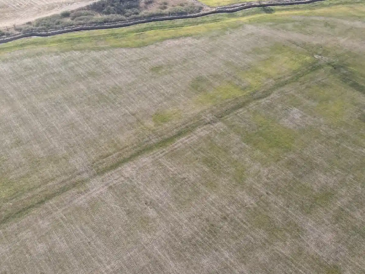 Declaran emergencia agropecuaria en Córdoba por la sequía