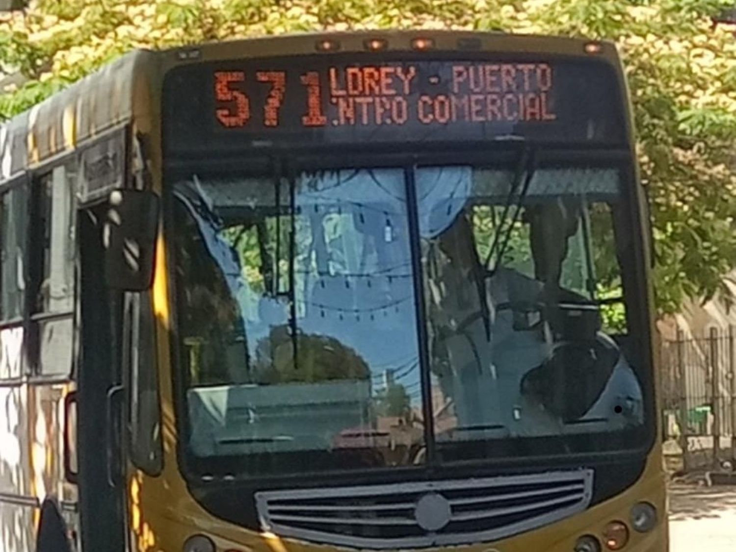 Intentó robar en un colectivo con una piedra pero fue reducido por el chofer