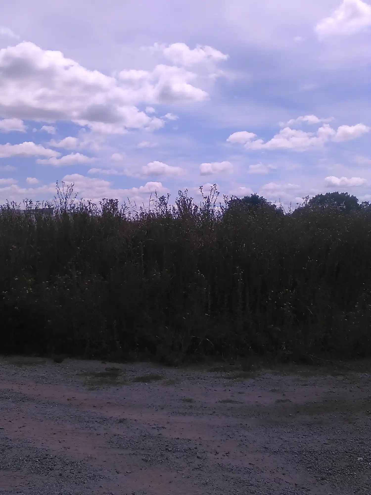 No se queje si no se queja