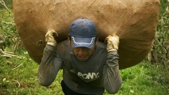 Pasó para el 29 de febrero la sesión que definirá los precios de la hoja de la yerba mate