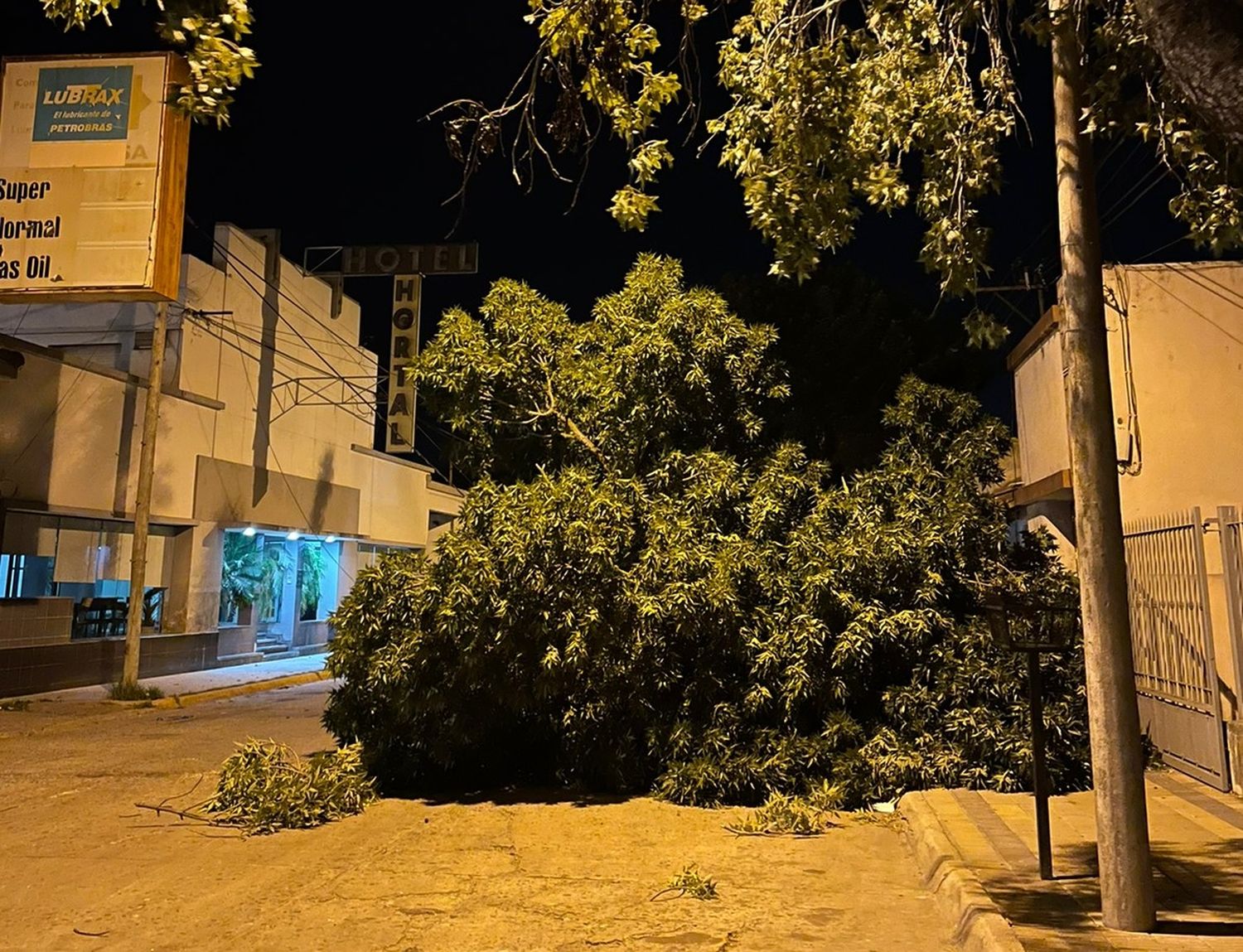 Ráfagas de viento y poca agua dejó la tormenta en Venado Tuerto