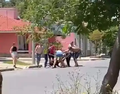 Vecinos hartos denuncian que un perro les mata a sus mascotas (video)