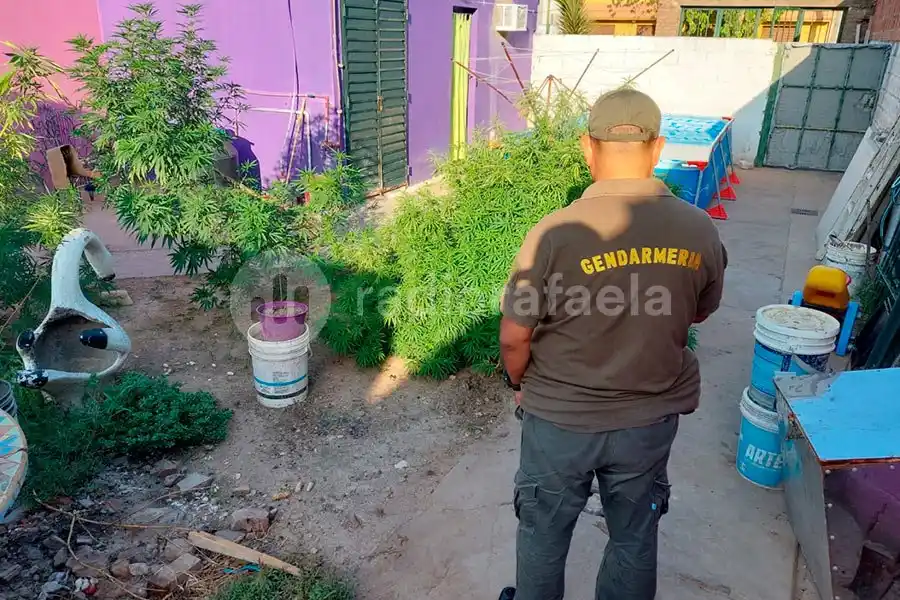 Incautan estupefacientes y detienen a un ciudadano tras seis allanamientos