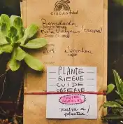 Biblioteca de semillas de Ciudad Frutal