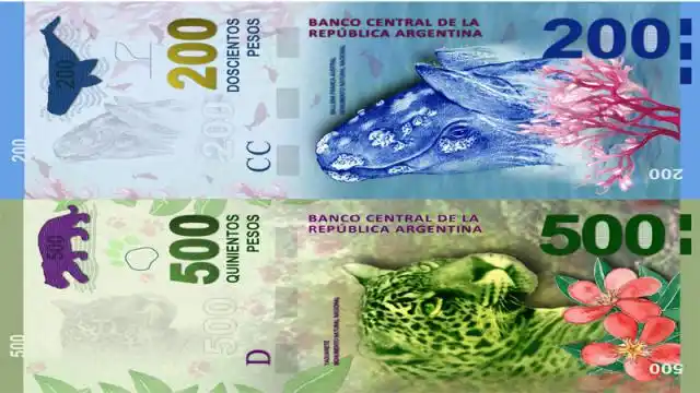Explican cómo será el reemplazo de los billetes con animales